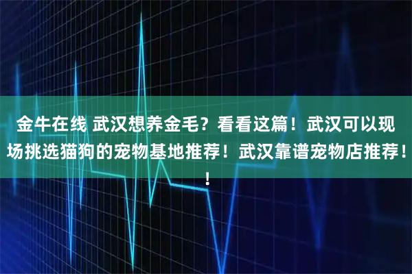 金牛在线 武汉想养金毛？看看这篇！武汉可以现场挑选猫狗的宠物基地推荐！武汉靠谱宠物店推荐！